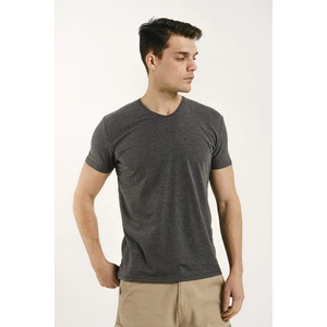 Riley V Yaka Slim Fit Basic Erkek Tshirt