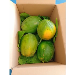 Papaya (Olgunlaşmış) 1 kg