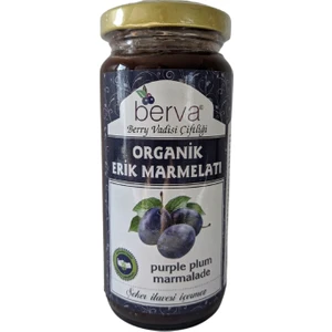 Şeker Ilavesiz Organik Erik Marmelatı  260 Gr