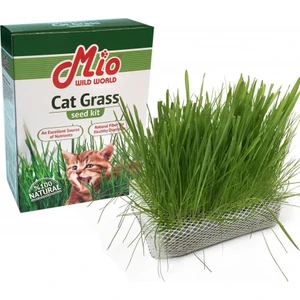 Premium Kedi Çimi Fileli