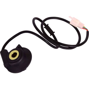 Mexico 150 Km Rediktör Orijinal