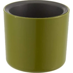Mimoza Saksı 9 cm 0,4 Lt  Yeşil