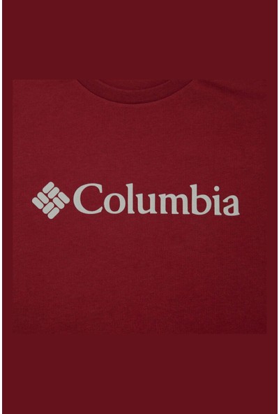 Columbia Csc Basic Logo Kısa Kollu Erkek Tişört CS0001