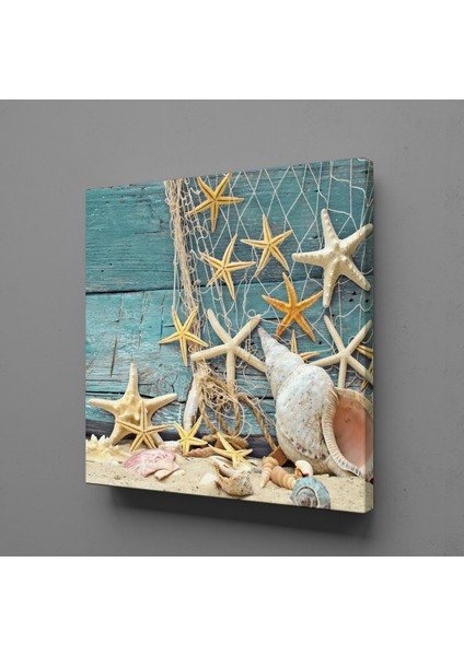 Deniz Kabukları ve Yıldızı 70X70CM