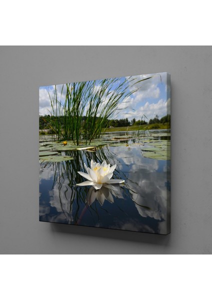 Akarsudaki Zambak 80X80CM