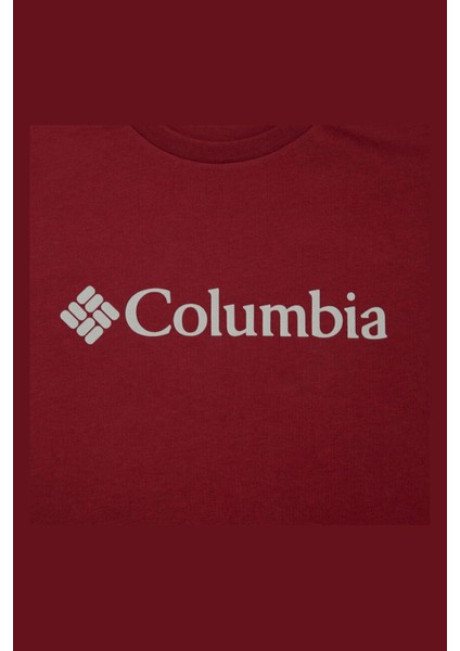 Csc Basic Logo Kısa Kollu Erkek Tişört CS0001 modelleri