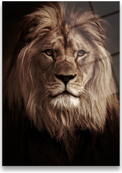 Concept Aslan Cam Tablo