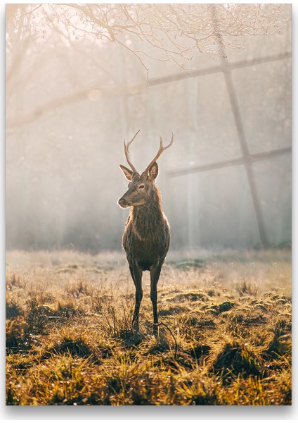 Concept Geyik Cam Tablo