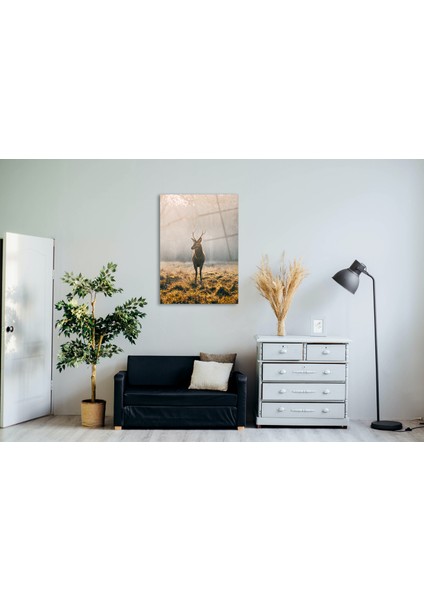 Concept Geyik Cam Tablo fiyatları