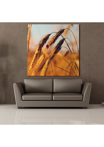 Başak Salkımı 140X140CM fiyatları