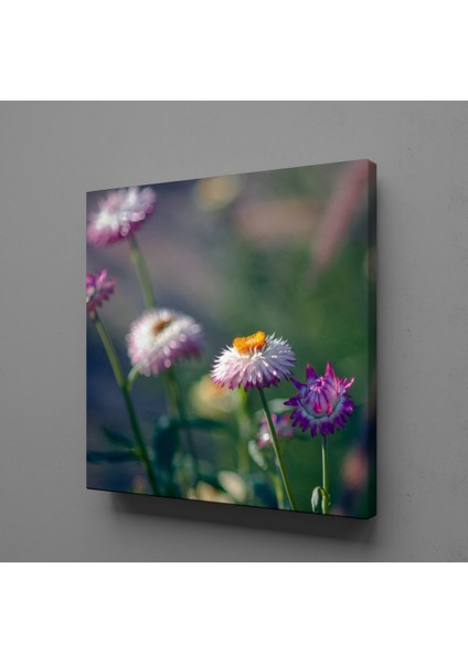 Pembe Beyaz Çiçekler 60X60CM