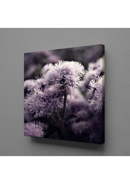 Lila Çiçek 70X70CM