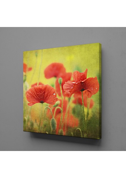 Kırmızı Çiçekler 140X140CM