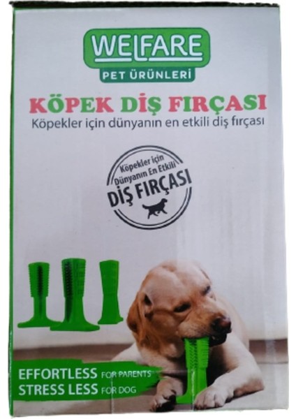 Köpek Diş Fırçası Büyük Boy