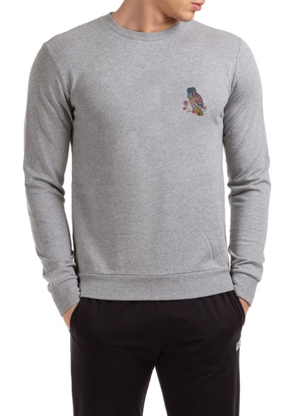 Deniz Mavisi Baykuş Owl Baskılı Gri Erkek Örme Sweatshirt Uzun Kol