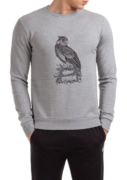 Kafatası Resimde Tıraşlama Gri Kuş Yırtıcı Baskılı Gri Erkek Örme Sweatshirt Uzun Kol