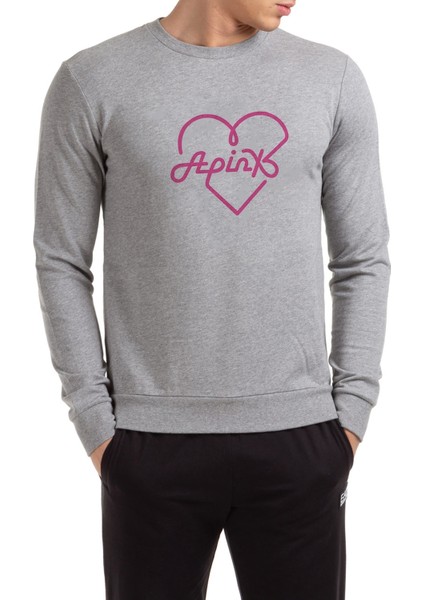 Apinx Logosu K Pop Korece Music Baskılı Gri Erkek Örme Sweatshirt Uzun Kol