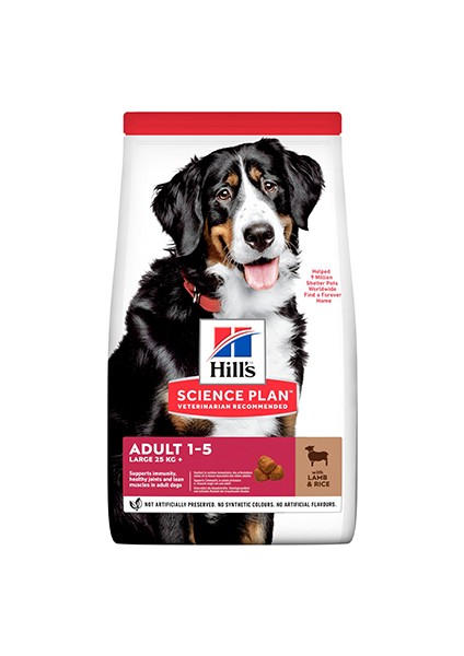 Adult Large Breed Lamb Köpek Maması 12+2 kg