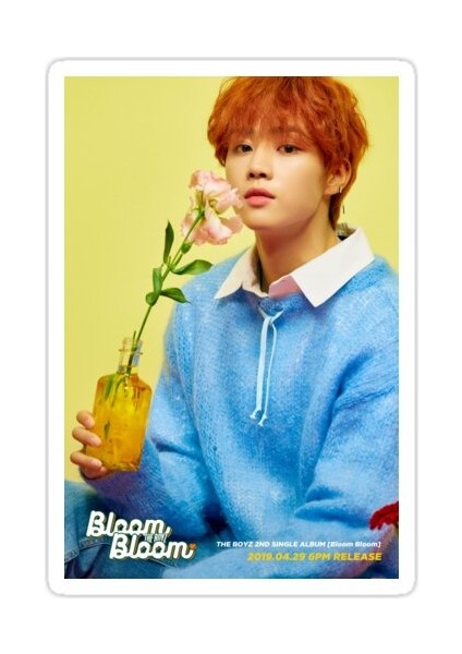 Boyz Sunwoo Sticker Araba Oto Arma Duvar Sticker Ev Dekoratif Çıkartma 15 Cm