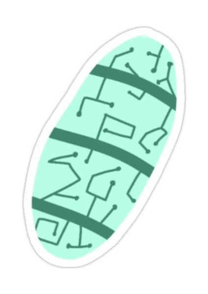 Squip Hapı Sticker Araba Oto Arma Duvar Sticker Ev Dekoratif Çıkartma 15 Cm