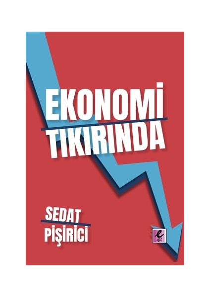 Ekonomi Tıkırında - Sedat Pişirici