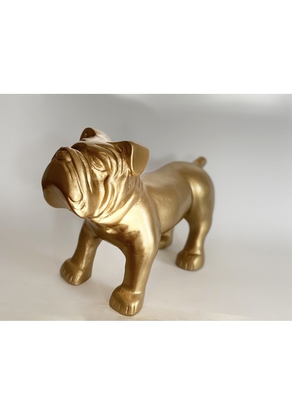 Bulldog Biblo fiyatları