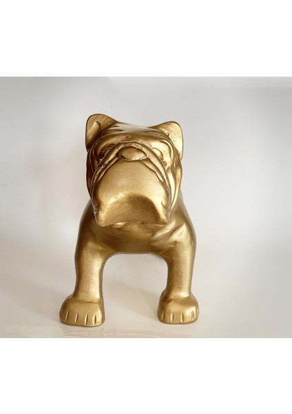 Bulldog Biblo modelleri