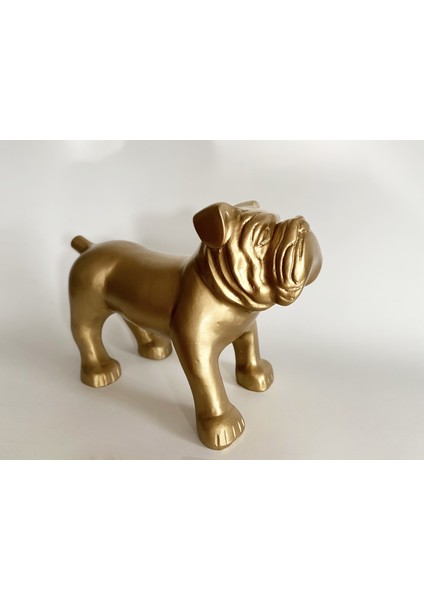 Bulldog Biblo fırsatları