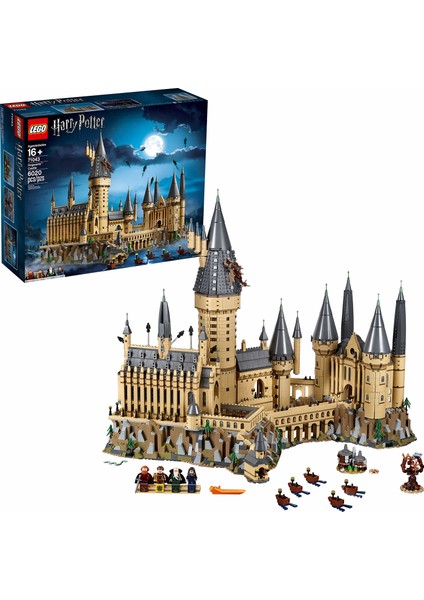 Harry Potter Hogwarts Castle 71043 6020 Parça