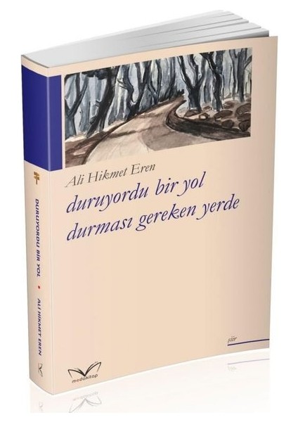 Duruyordu Bir Yol Durmasi Gereken Yerde - Ali Hikmet Eren