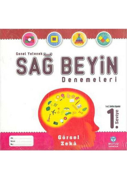 1. Sınıf Mental Zeka Denemeleri
