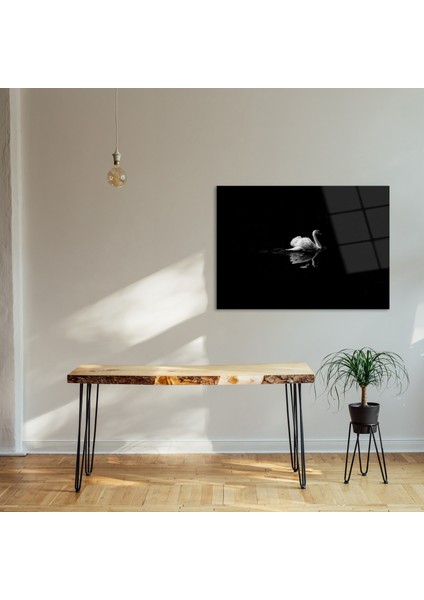 Concept Kuğu Cam Tablo fiyatları