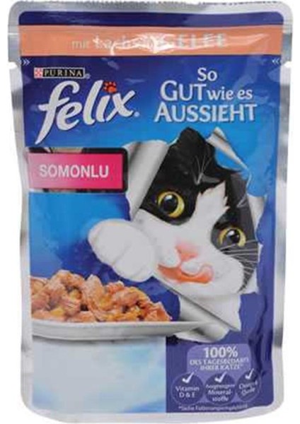 Felix Somonlu Kedi Yaş Maması 100 gr