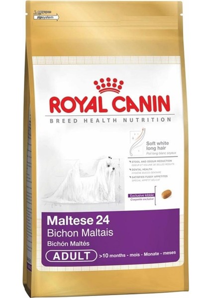 Maltese Bichon Maltais Yetişkin Köpek Maması 1.5 kg