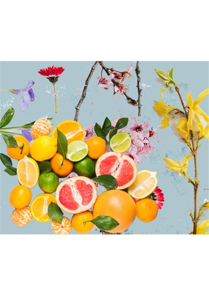 Sprey Limon Kolonyası 80° 100 ml fırsatları