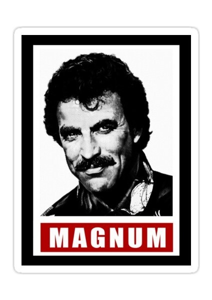 Magnum Sticker Araba Oto Arma Duvar Sticker Ev Dekoratif Çıkartma 15 cm