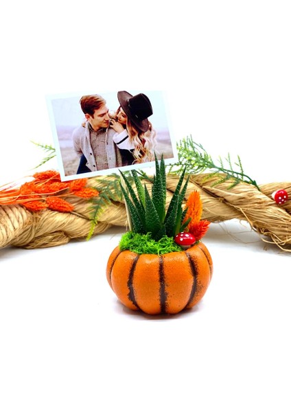 Kişiye Özel Fotoğraflı Canlı Çiçek Sukulentli Bal Kabağı ve Kupa Seti M3 fırsatları