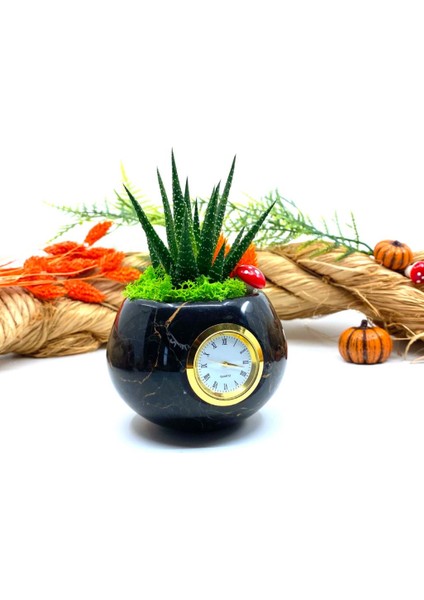 Saatli Özel Tasarım Canlı Sukulentli Gerçek Doğal Mermer Saksı Aranjmanı M10 fiyatları