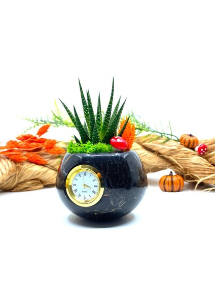 Saatli Özel Tasarım Canlı Sukulentli Gerçek Doğal Mermer Saksı Aranjmanı M10 modelleri