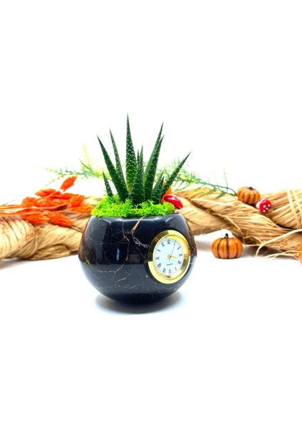 Saatli Özel Tasarım Canlı Sukulentli Gerçek Doğal Mermer Saksı Aranjmanı M10 fırsatları