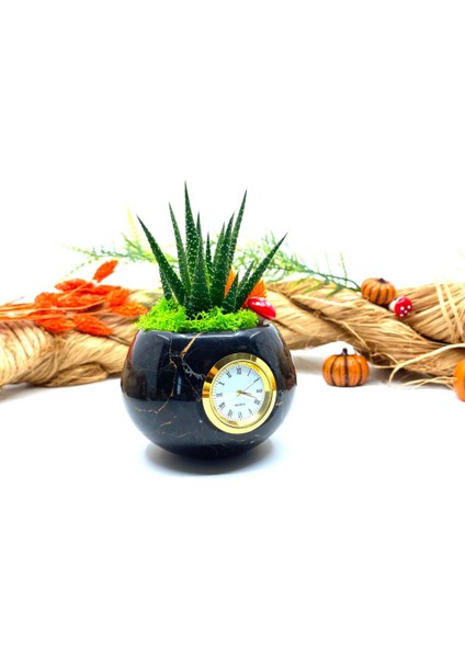 Saatli Özel Tasarım Canlı Sukulentli Gerçek Doğal Mermer Saksı Aranjmanı M10 indirimleri