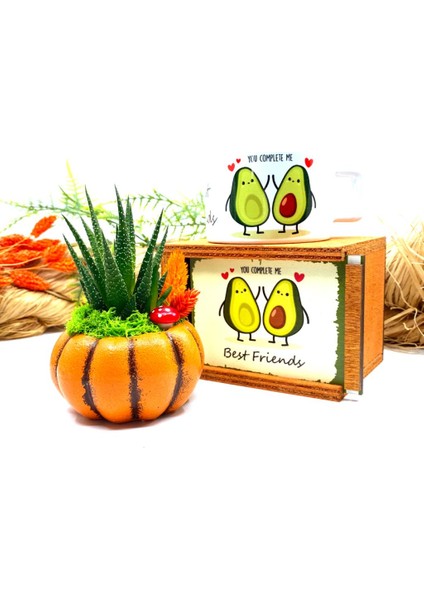 Özel Tasarım Canlı Çiçek Sukulentli Bal Kabağı ve Kupa Seti M1