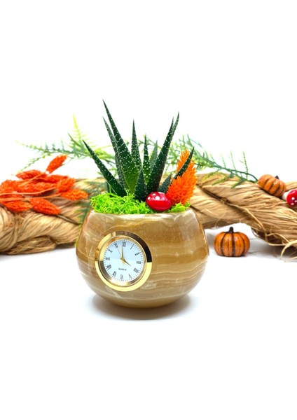 Saatli Özel Tasarım Canlı Sukulentli Gerçek Doğal Mermer Saksı Aranjmanı M11 fırsatları