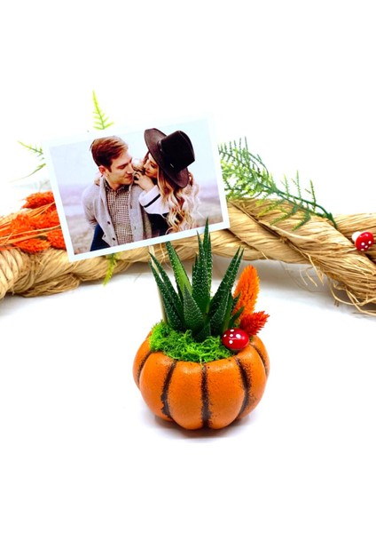 Kişiye Özel Fotoğraflı Canlı Çiçek Sukulentli Bal Kabağı ve Kupa Seti M1 modelleri