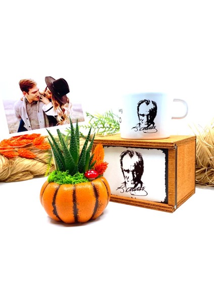 Kişiye Özel Fotoğraflı Canlı Çiçek Sukulentli Bal Kabağı ve Kupa Seti M2