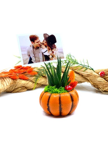 Kişiye Özel Fotoğraflı Canlı Çiçek Sukulentli Bal Kabağı ve Kupa Seti M2 fiyatları