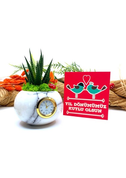 Saatli Özel Tasarım Canlı Sukulentli Gerçek Doğal Mermer Saksı Aranjmanı M9