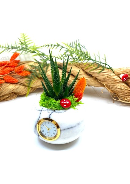 Saatli Özel Tasarım Canlı Sukulentli Gerçek Doğal Mermer Saksı Aranjmanı M9 fiyatları