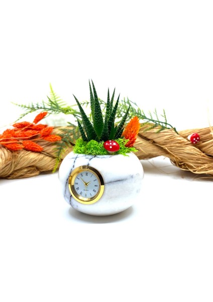 Saatli Özel Tasarım Canlı Sukulentli Gerçek Doğal Mermer Saksı Aranjmanı M9 modelleri