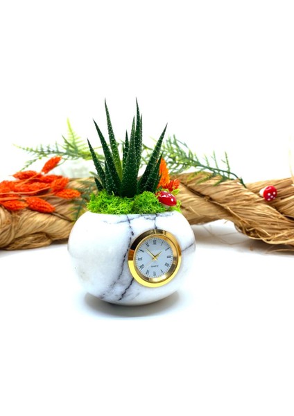 Saatli Özel Tasarım Canlı Sukulentli Gerçek Doğal Mermer Saksı Aranjmanı M9 fırsatları